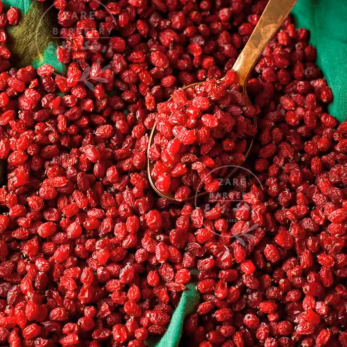 زرشک زیرتالاری اعلاء امسالی محصول قائنات مخصوص صاحبان کسب و کار(9 کیلویی)