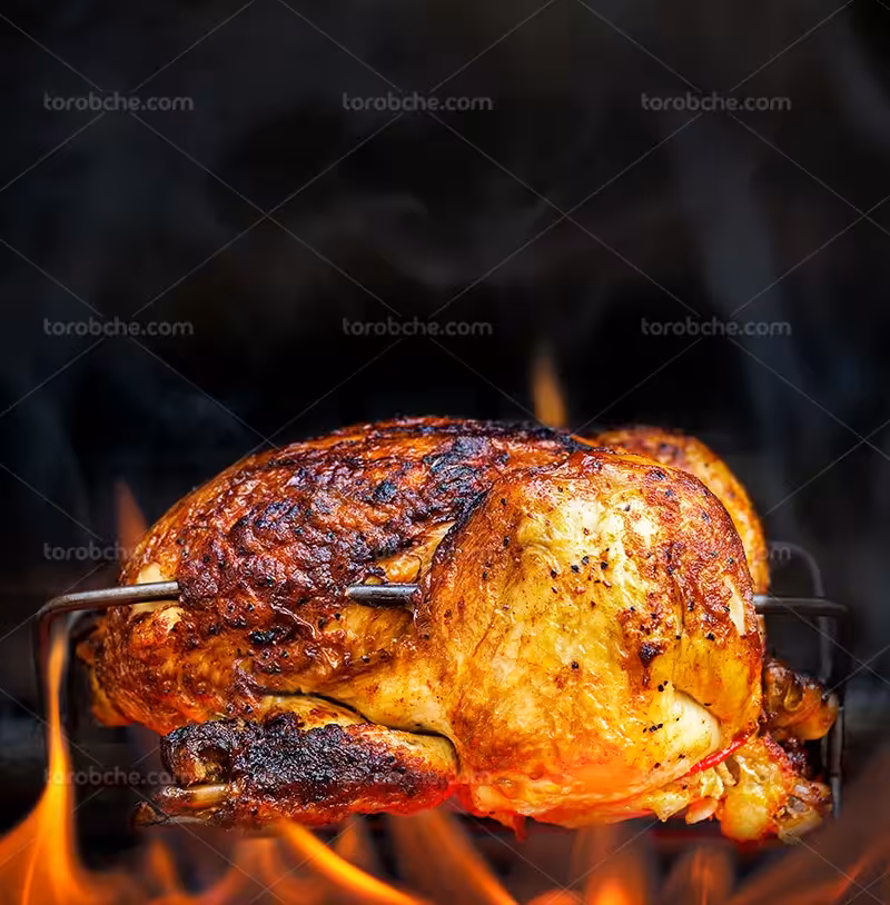 عکس مرغ بریان داغ | گرافیک با طعم تربچه