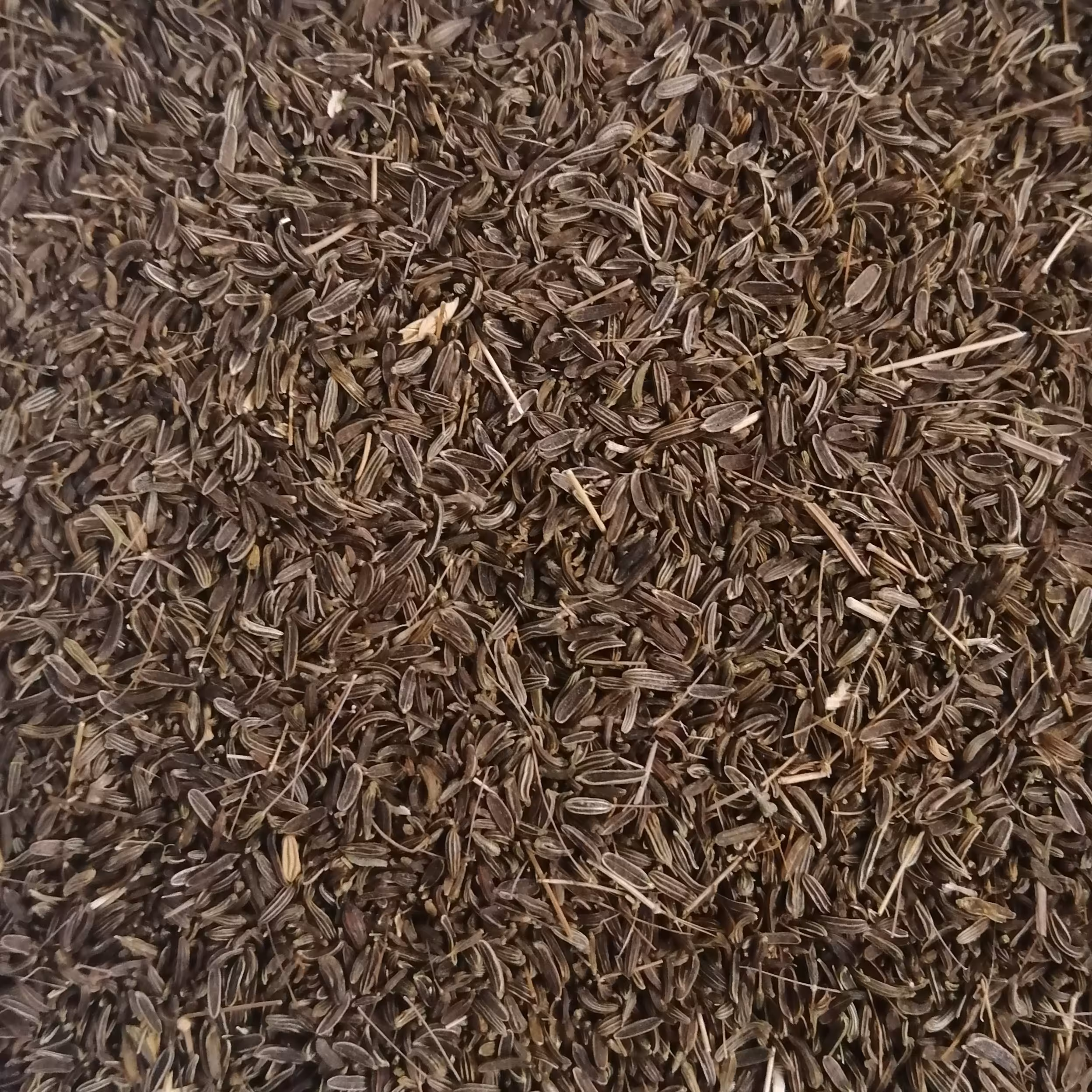 زیره سیاه کوهی بیرجند درجه یک