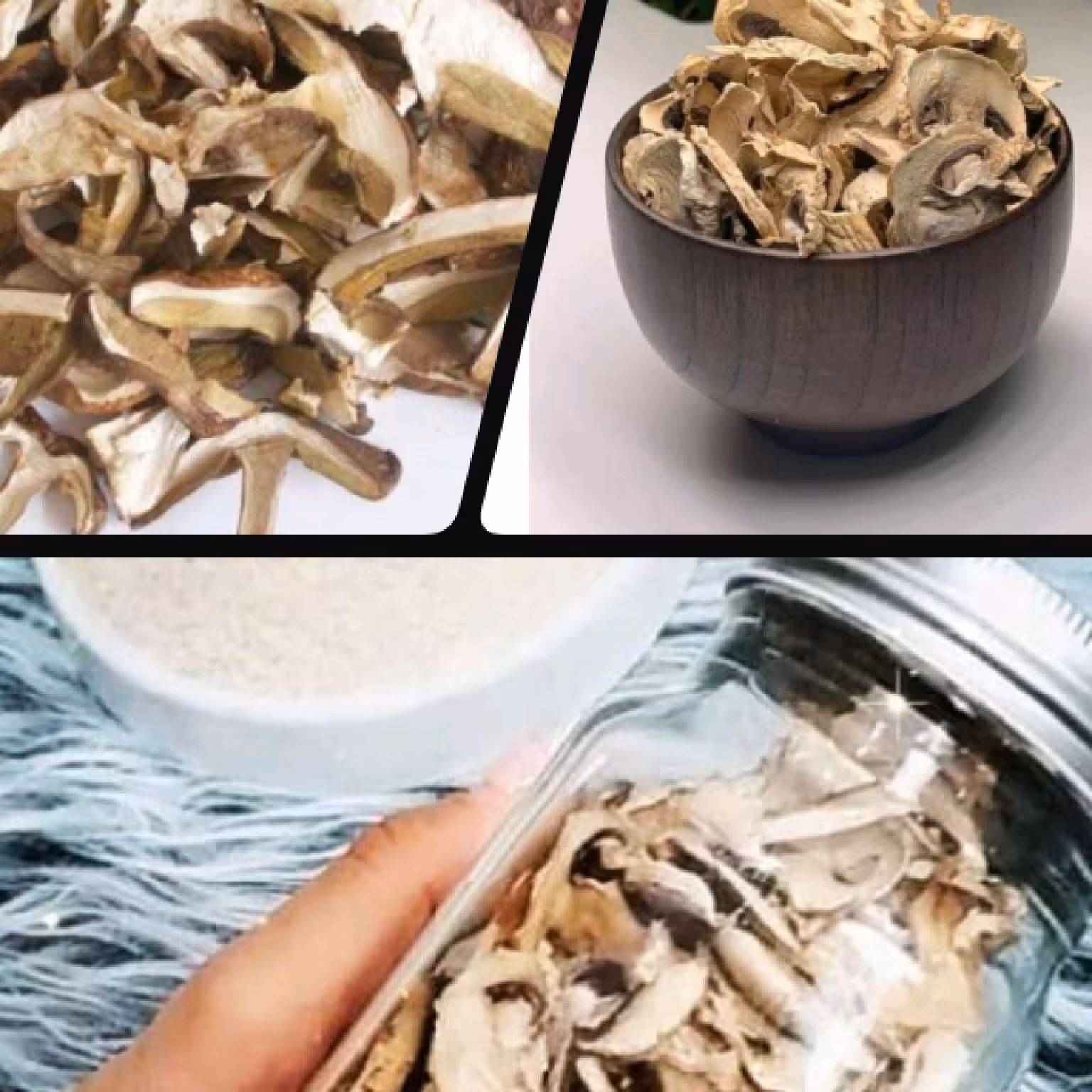 قارچ خشک شده