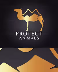 وکتور لوگو شتر صحرا | گرافیک با طعم تربچه