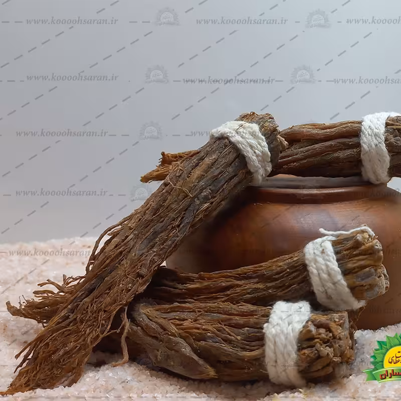 ریشه جنسینگ قرمز دختر پیچ 100 گرمی 