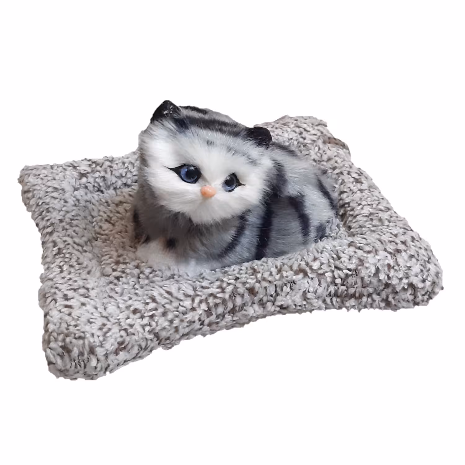 گربه خوابیده روی تشک 20 سانتی متری 