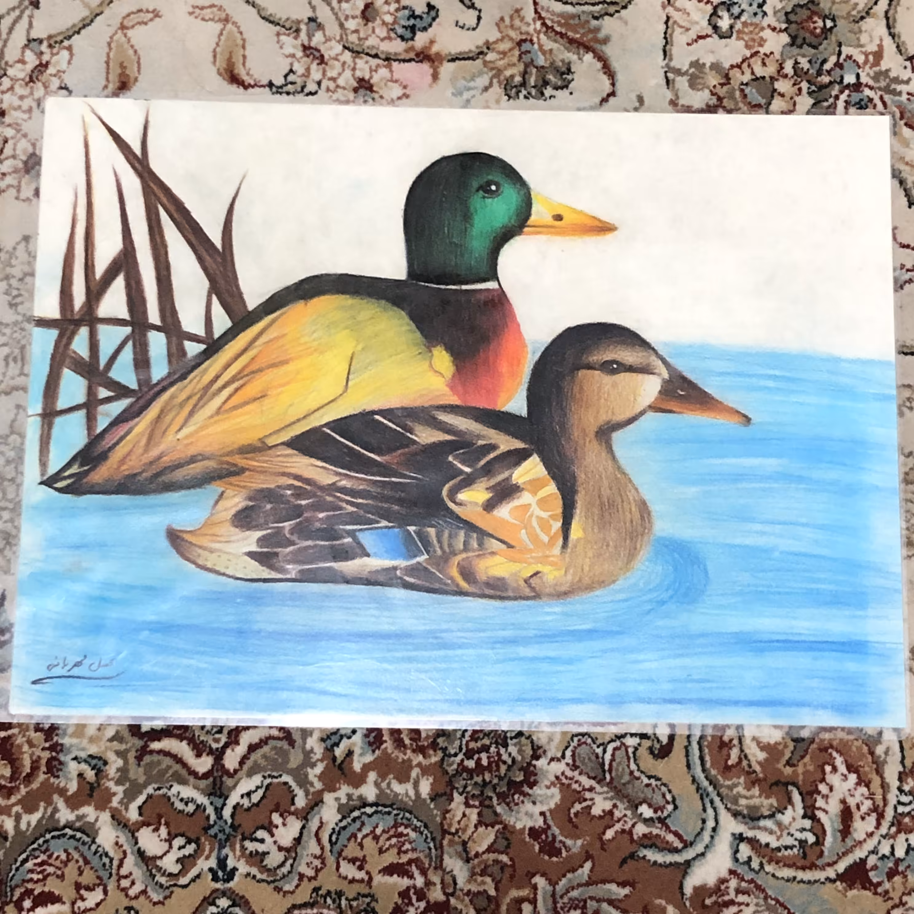 نقاشی اردک،بسیار زیبا با بهترین کیفیت تکنیک مدادرنگی و پاستل گچی 