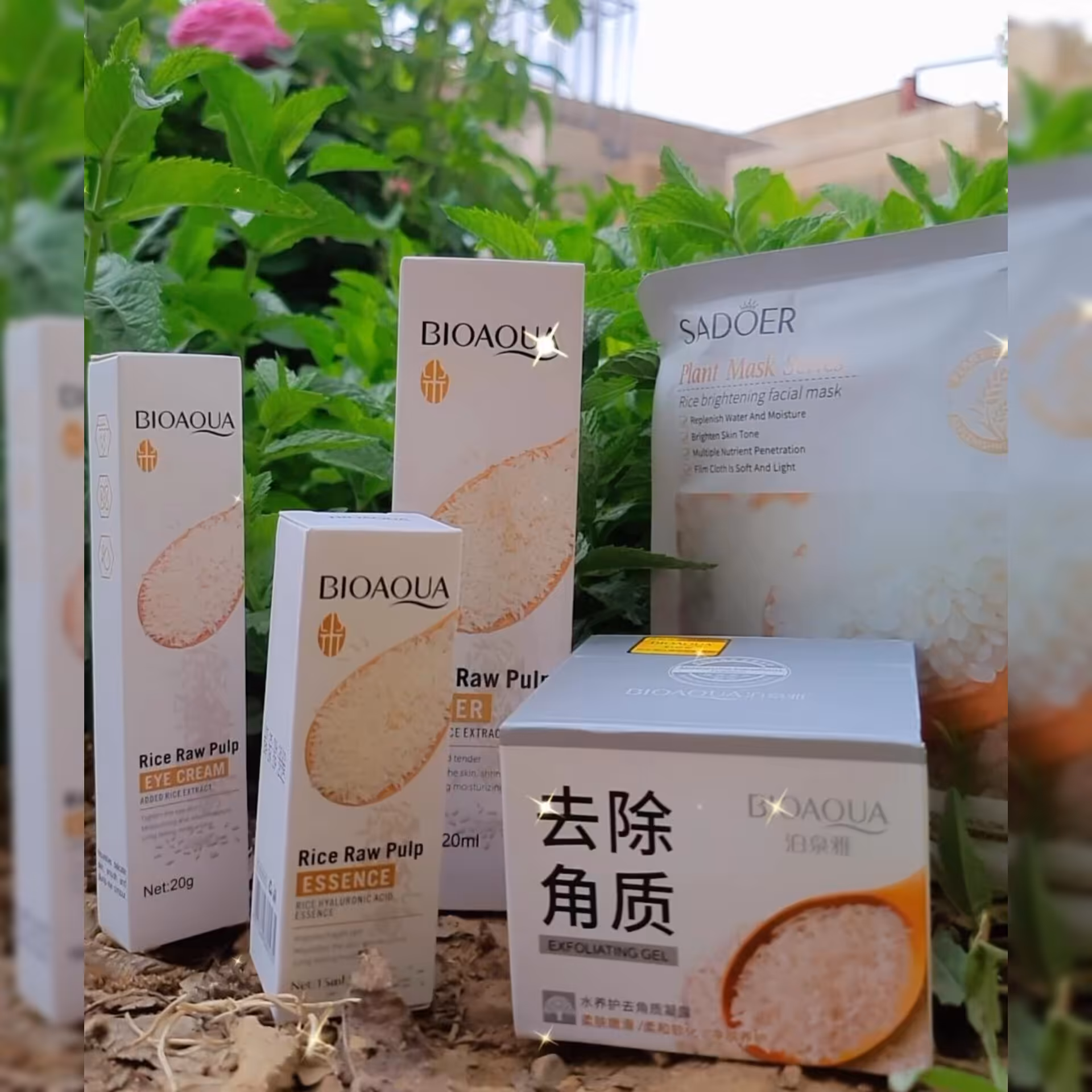 پک محصولات سبوس برنج