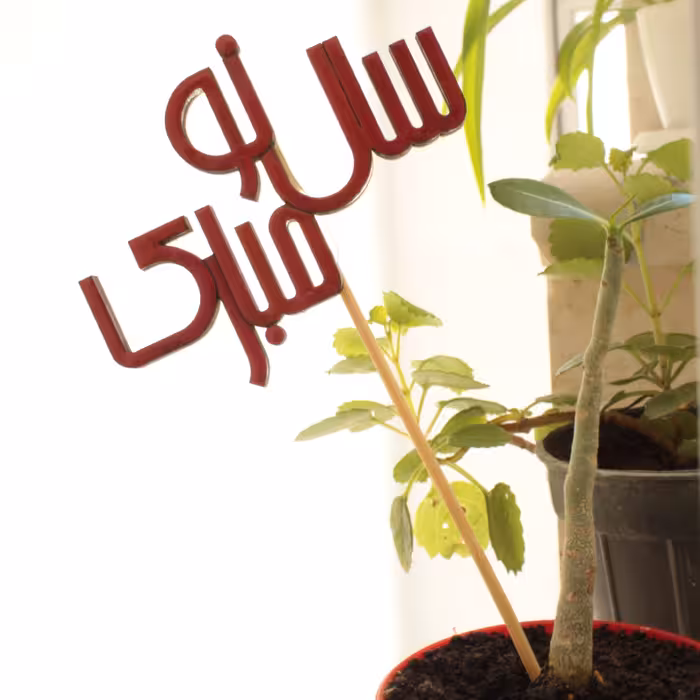 پک 50 عددی تاپر سفره هفت سین طرح سال نو مبارک - با ابعاد 10در8 - نقاشی شده با دست و جنس چوب-رنگ قابل تغییر