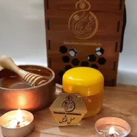 عسل مسافرتی شرتیزه (خوشیل) 100 درصد طبیعی خام دیابتی مهرگان ایران    ( 100 گرم )