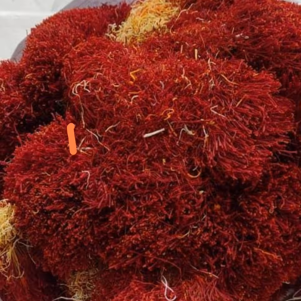 زعفران دخترپیچ 