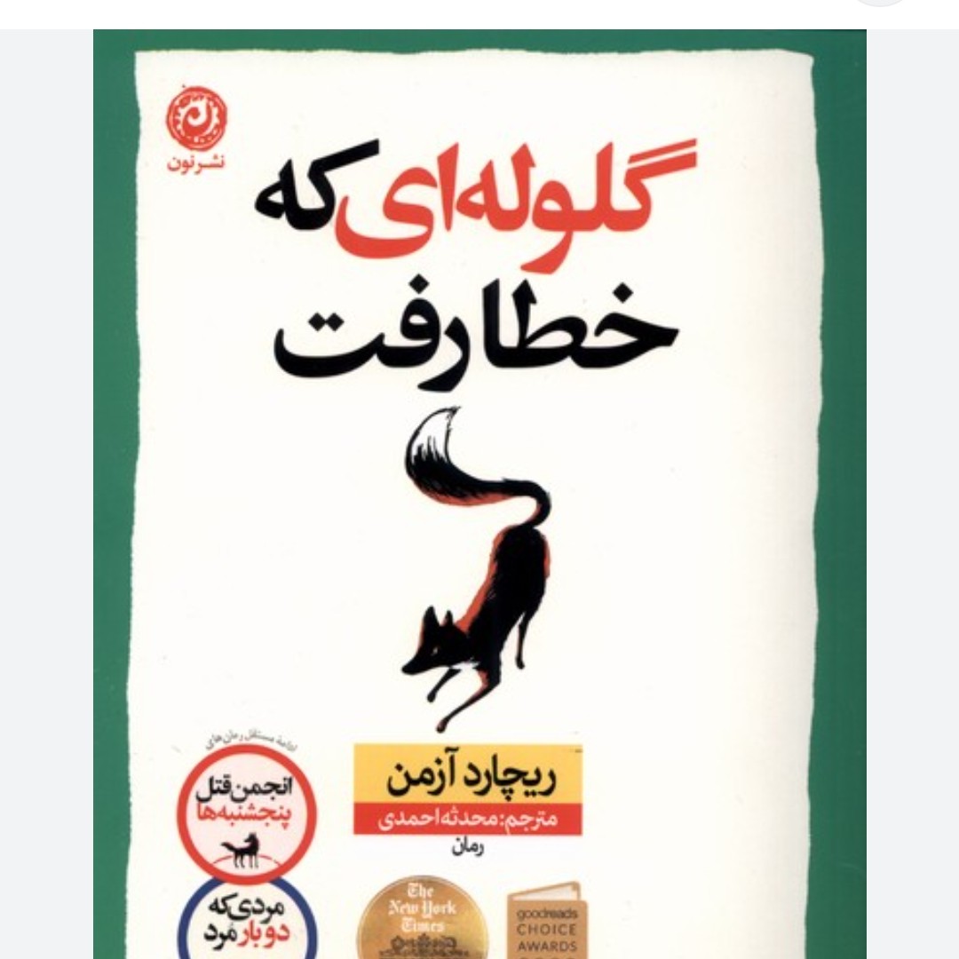 گلوله ای که خطا رفت