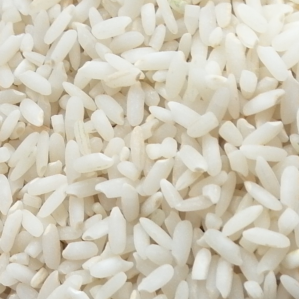 برنج بومی قهدریجان (لنجان)