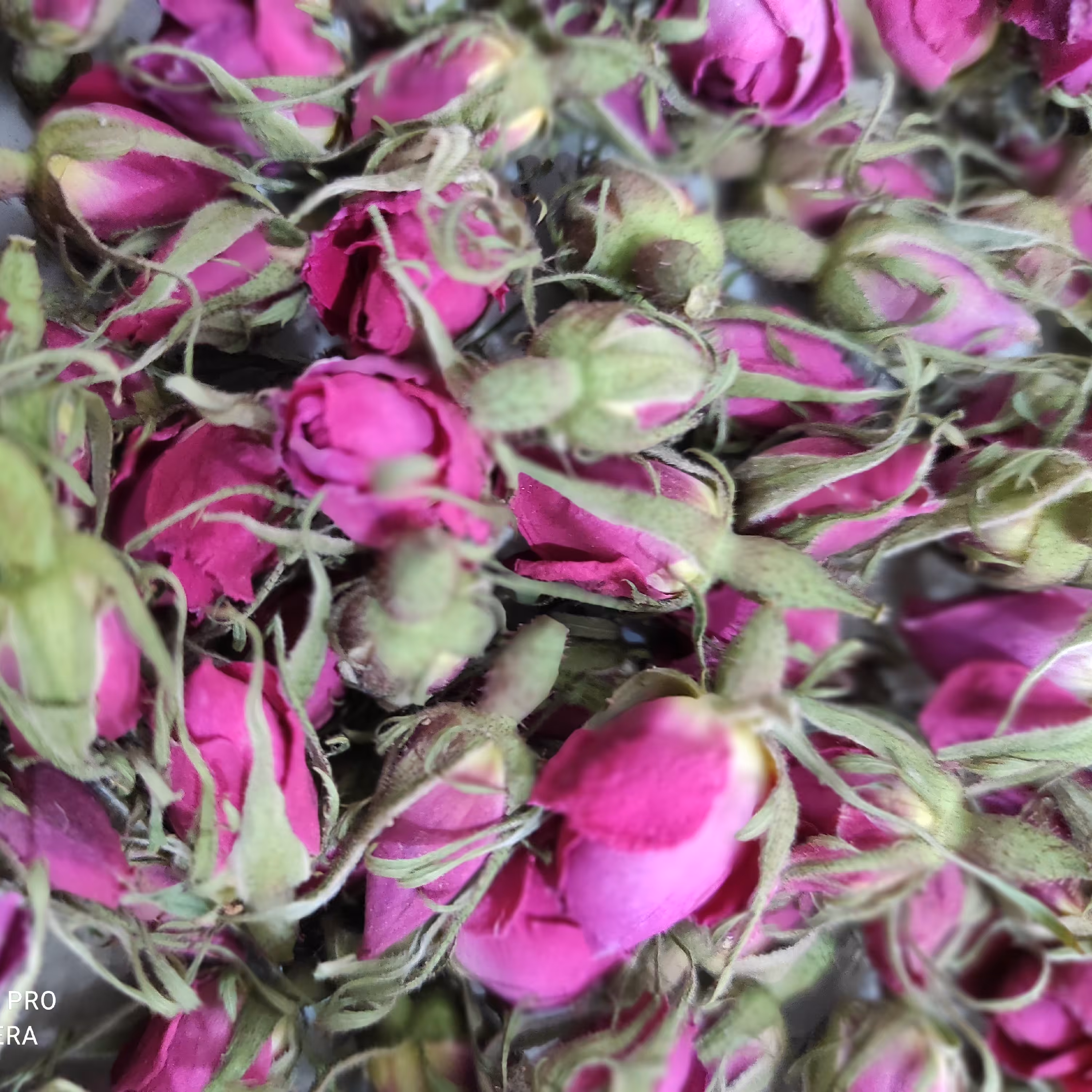 غنچه گل محمدی(100گرمی)