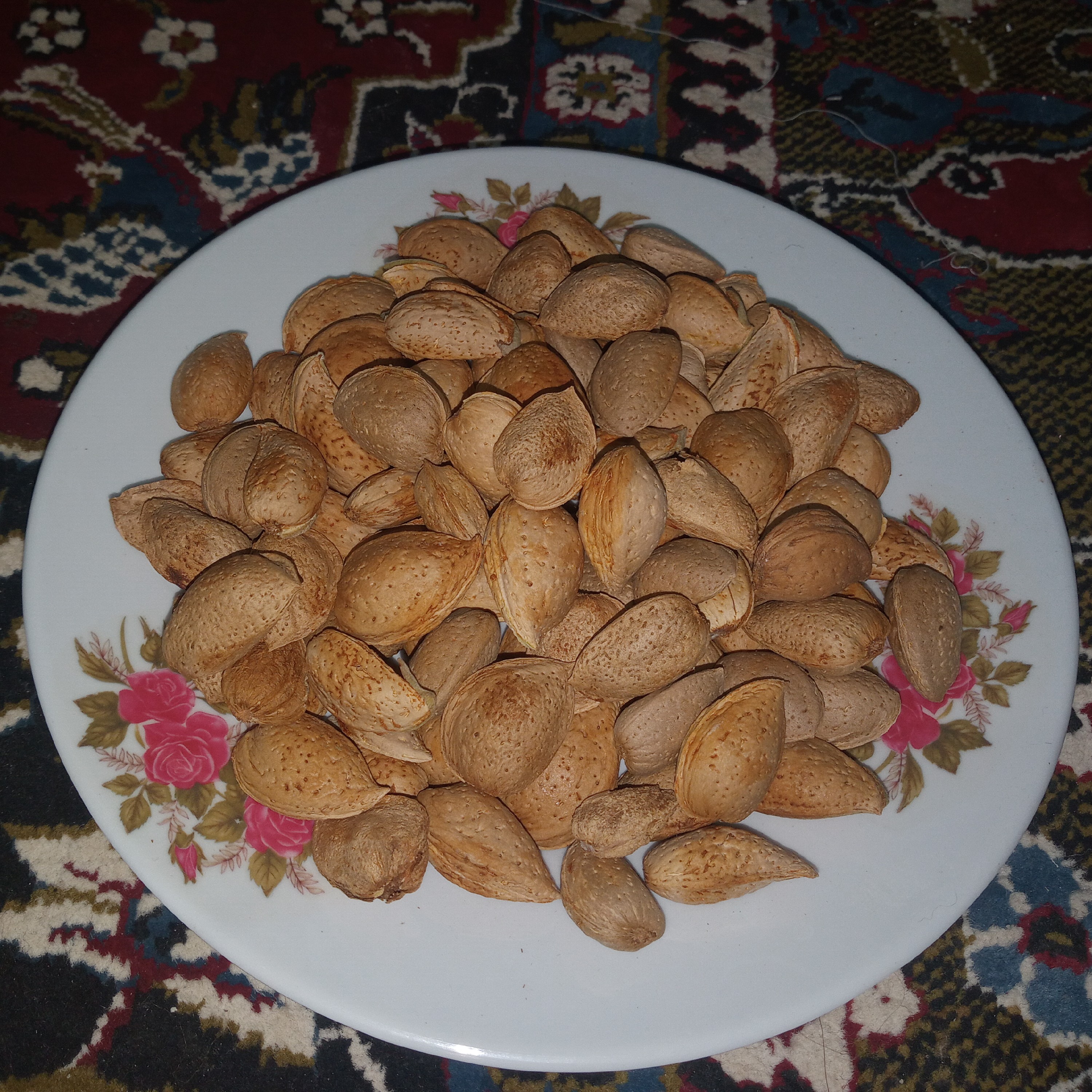 بادام سنگی