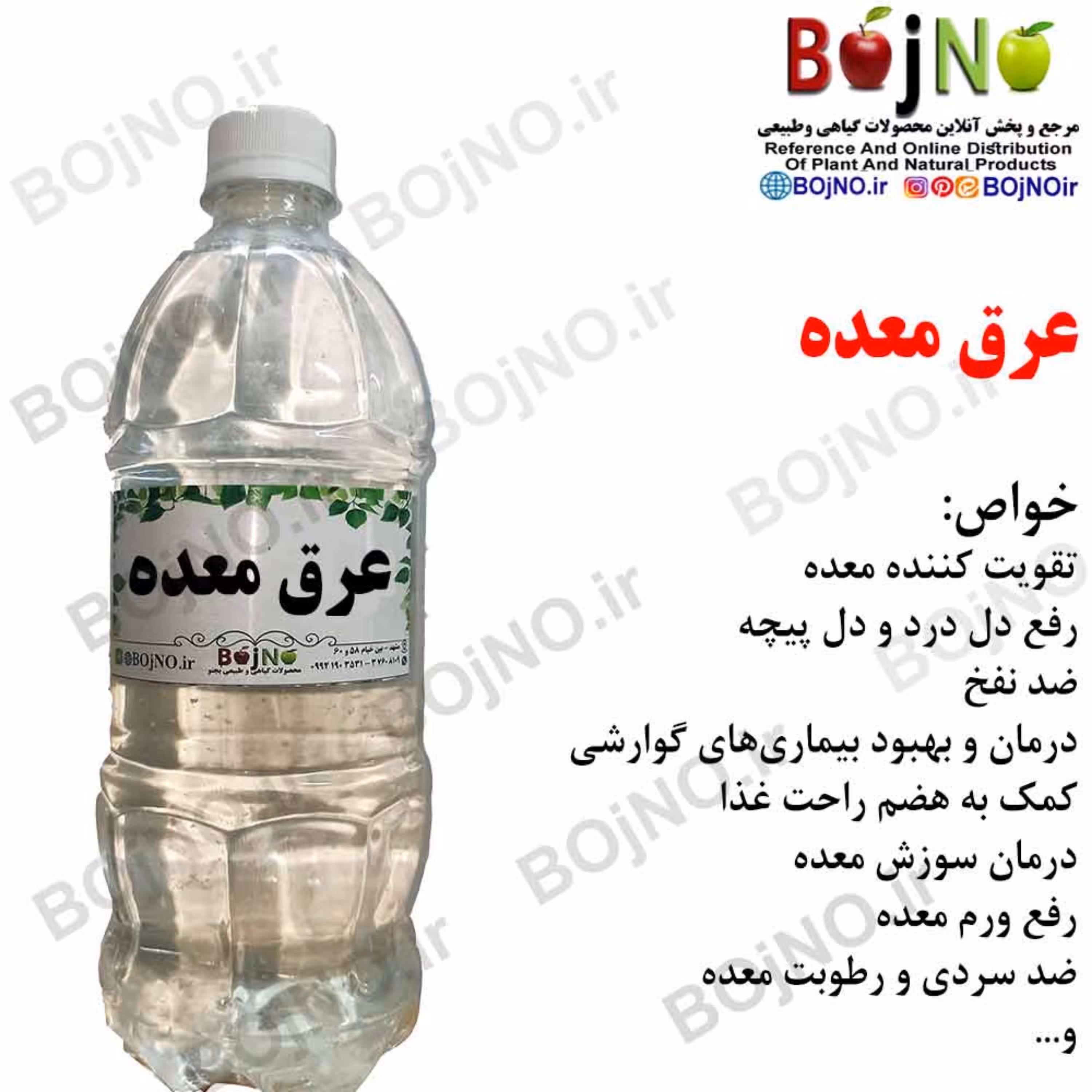 عرق معده سنتی گیاهیس (آب چشمه)