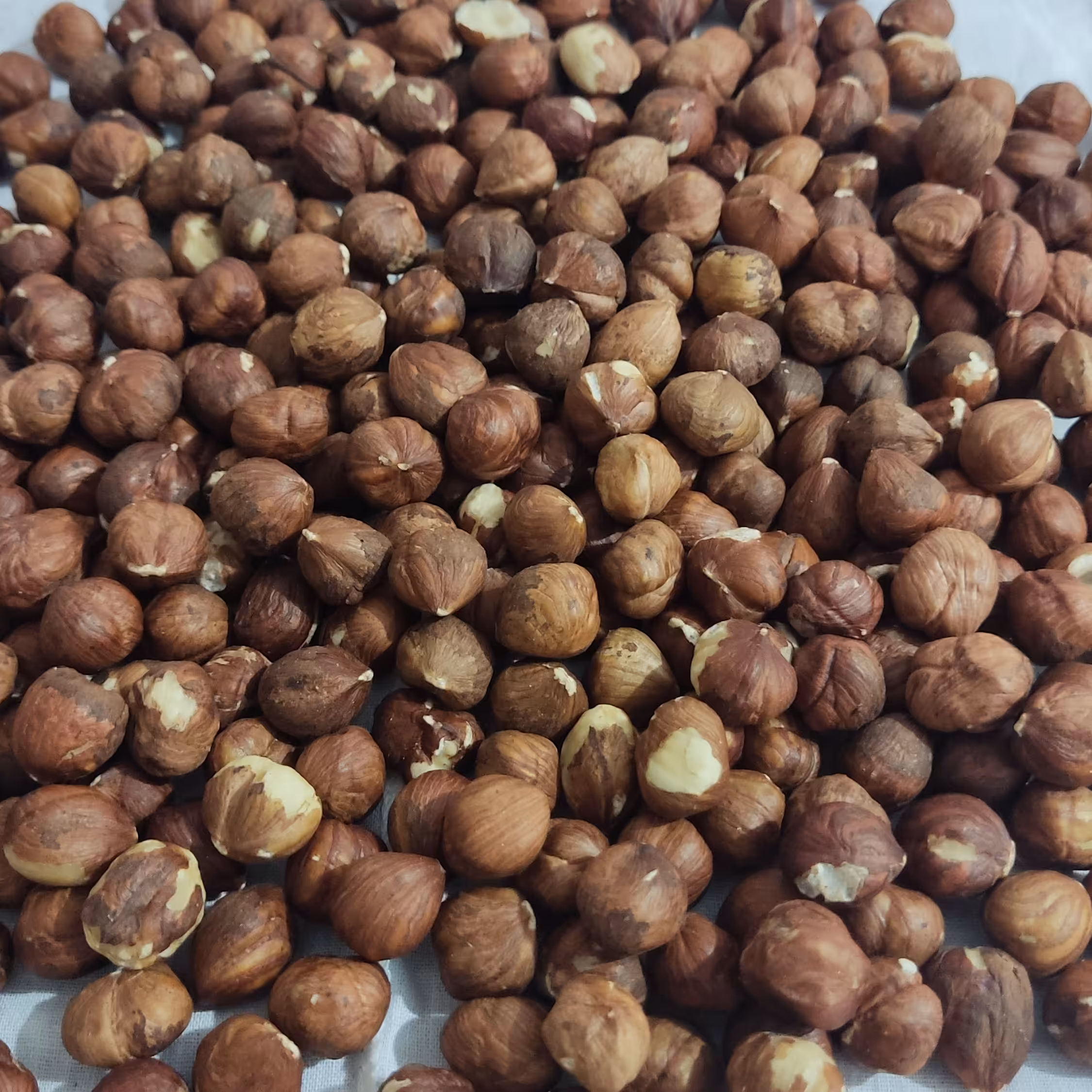 مغز فندق ایرانی خام 900 گرمی ممتاز تازه(تضمین کیفیت)