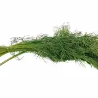 شوید  250  گرمی   KFC