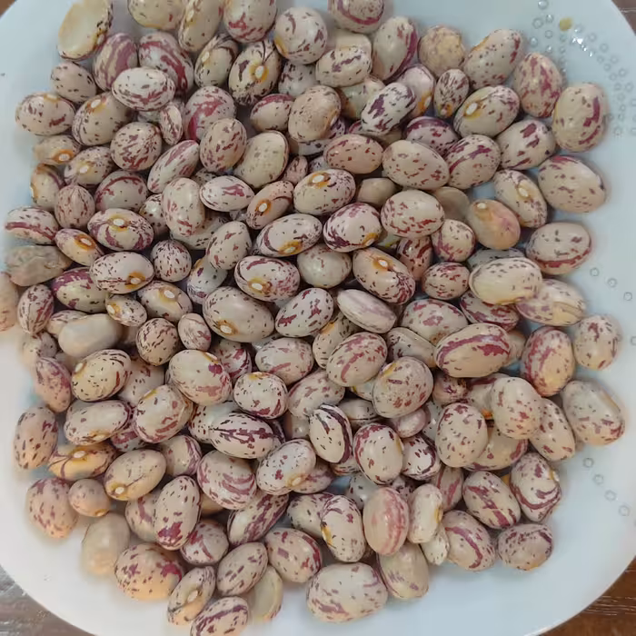 لوبیا چیتی بوجاری شده و درشت و تمیز  تاره و امساله خوش پخت بسته یک کیلویی 