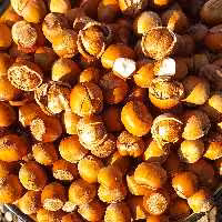 فندق خام نشکسته امساله دو کیلو گرمی اشکورات ، خشک و کم رطوبت و بسیار خوشمزه 