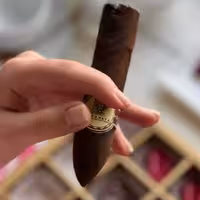 شکلات با طرح سیگار برگ با پوسته شکلات تلخ فیلینگ بی نظیر موکا  که ترکیب طعم قهوه و شکلات 