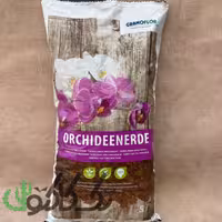 خاک ارکیده گراموفلور (گرامافلور)