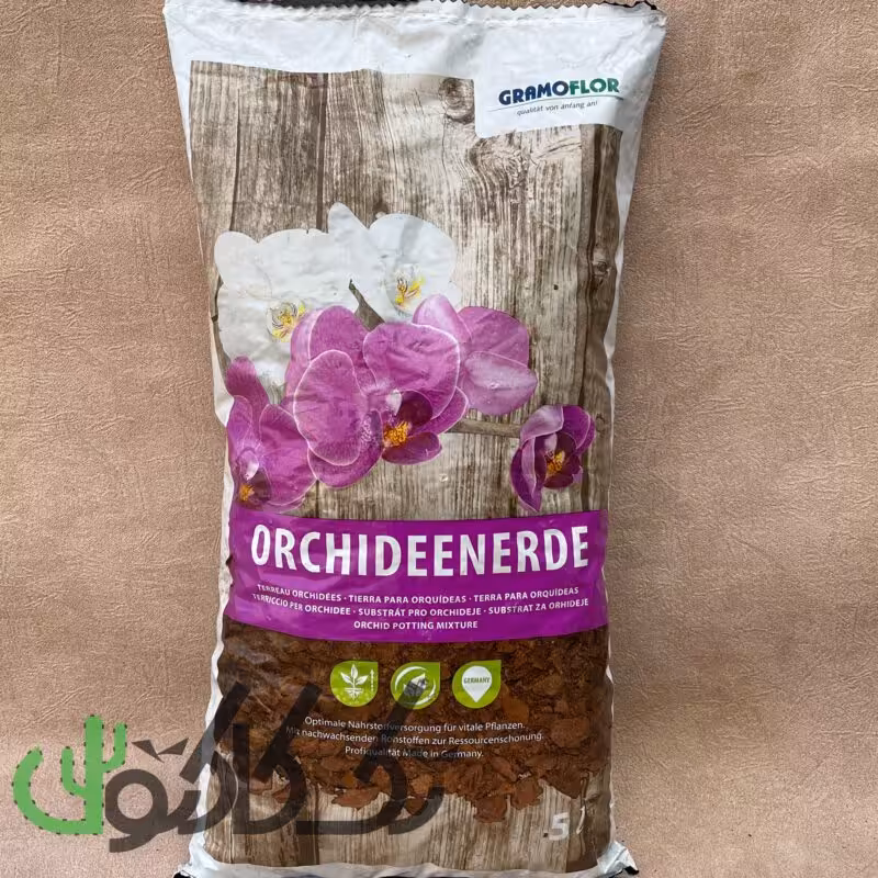 خاک ارکیده گراموفلور (گرامافلور)