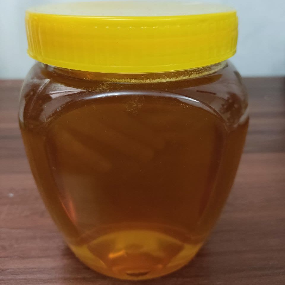 عسل کوهستان 