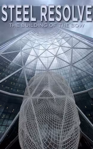 󾕇 دانلود کتاب Steel Resolve - The Building Of The Bow, 2015 - دانلود کتاب های دانشگاهی