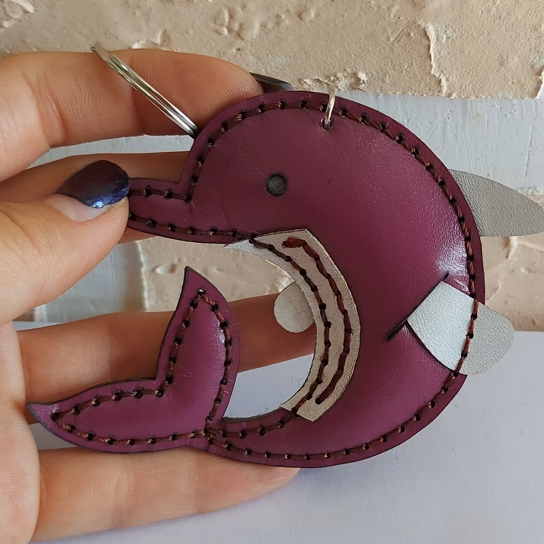 جاسوئیچی دلفین 