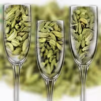 رازیانه فروش به صورت نیم کیلویی