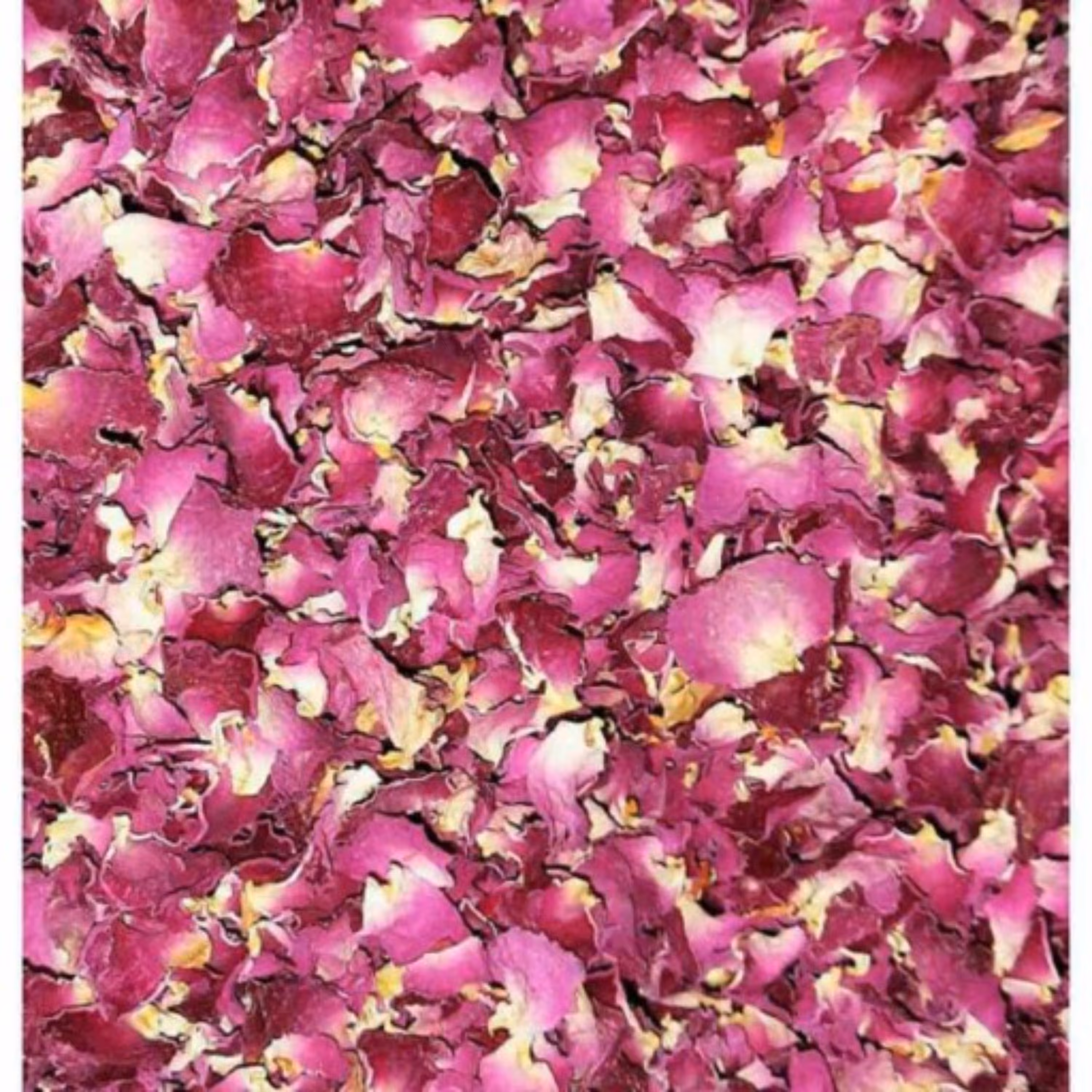 پر گل محمدی اعلا 100 گرمی