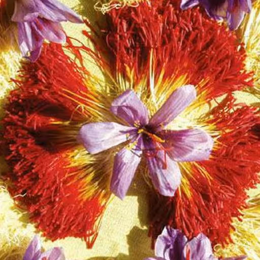 زعفران  مرغوب