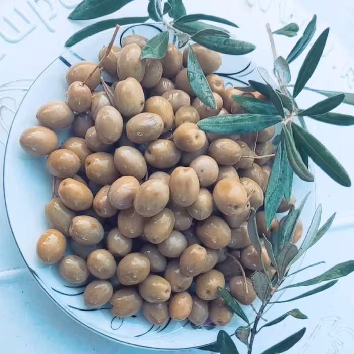 زیتون کنسروی مزدار شده سایز درشت  و تازه و خوشمزه در ظروف 7 کیلویی 