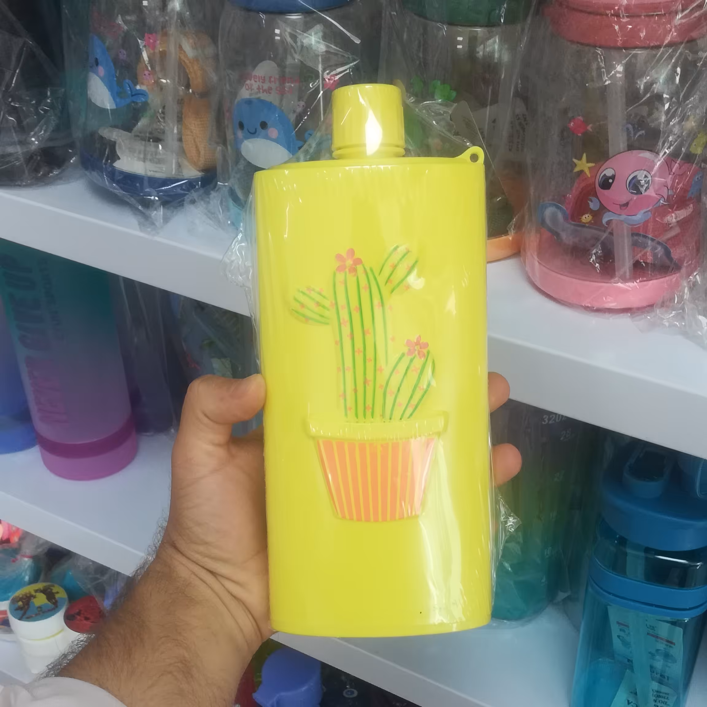 قمقمه کتابی، قمقمه مدرسه، قمقمه کاکتوس 