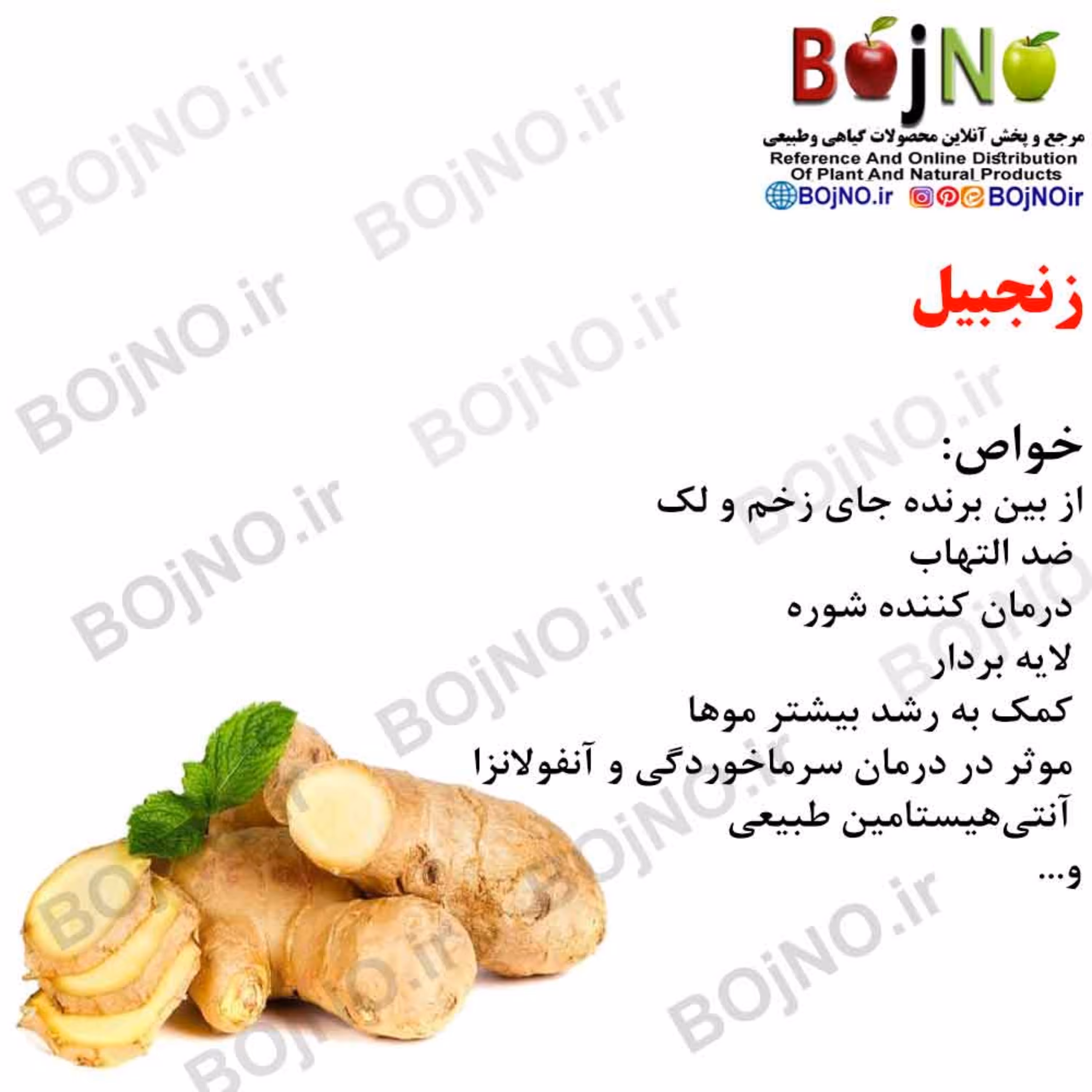 زنجبیل (بسته 50گرمی)