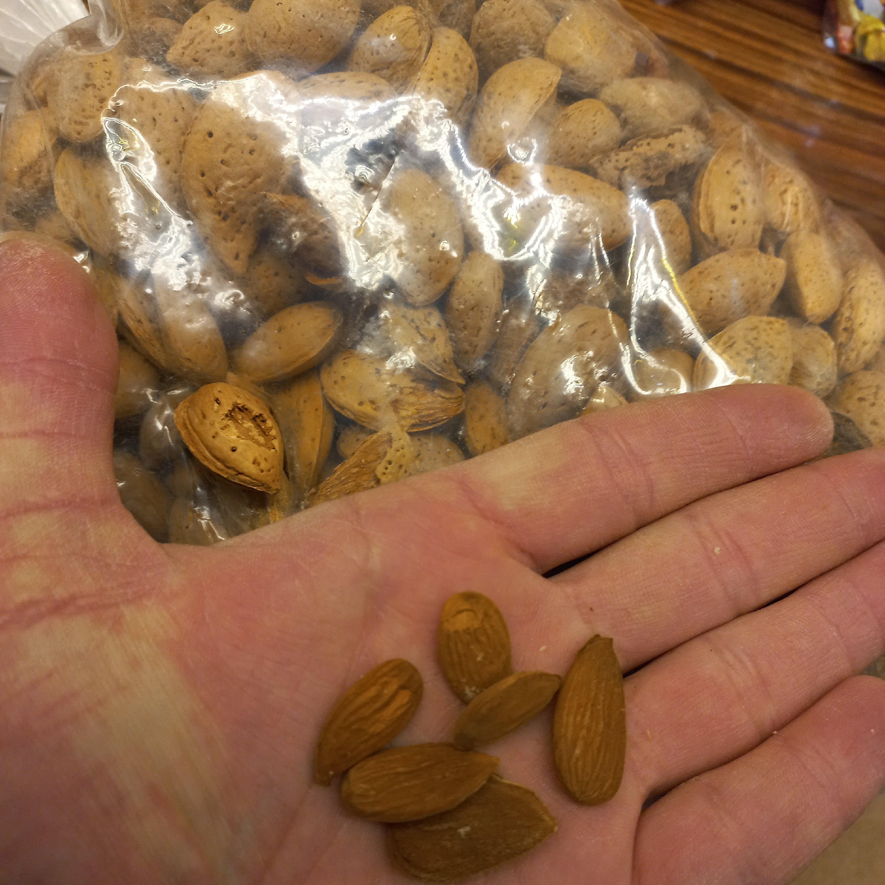 بادام درختی سنگی