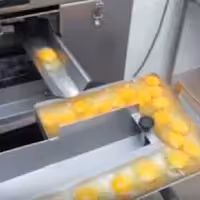 سفیده و زرده جدا شده تخم مرغ