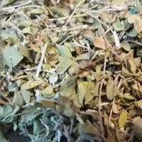 آویشن شیرازی اعلاء یک کیلویی عطاری دستانی 