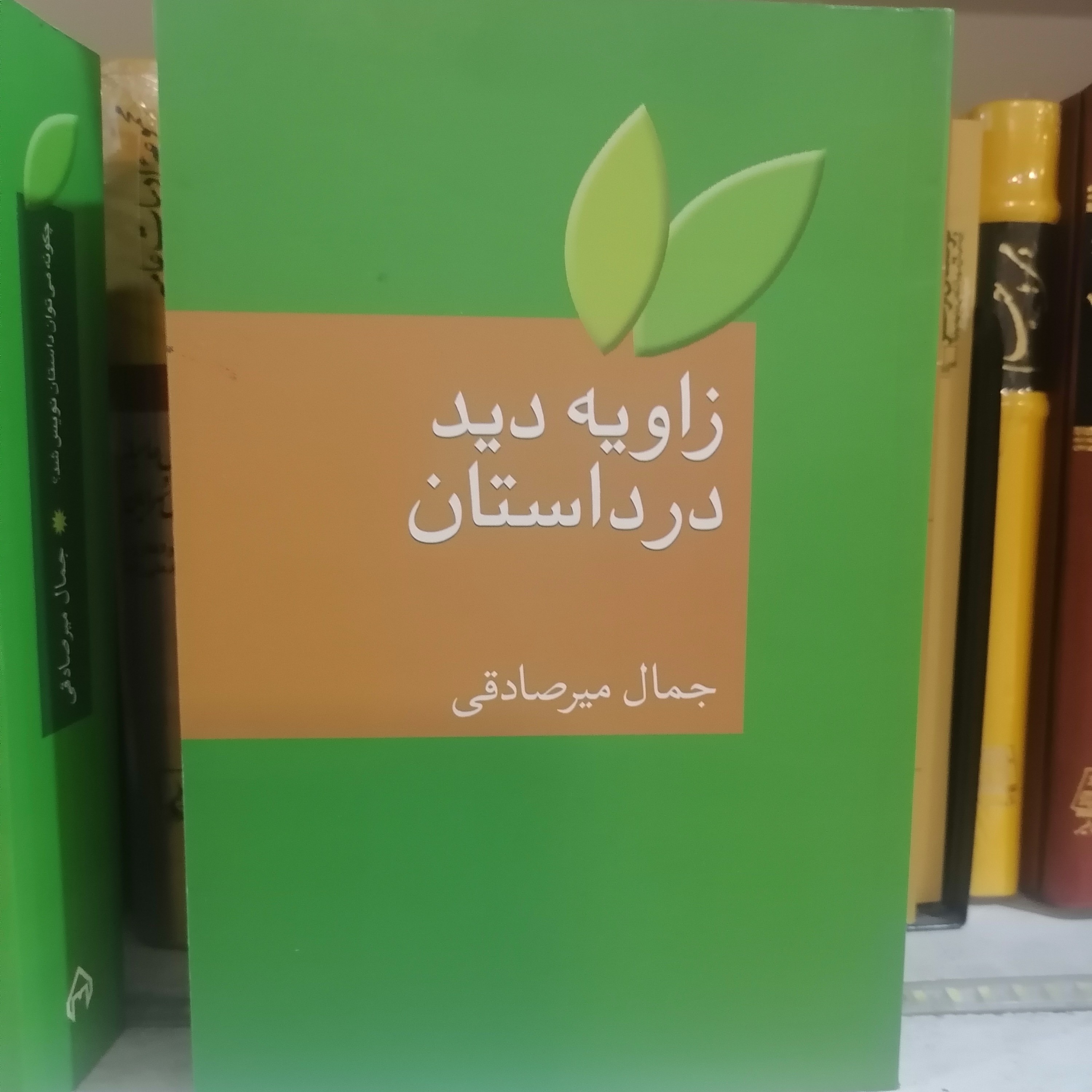 کتاب زاویه دید در داستان نوشته جمال میرصادقی نشر سخن