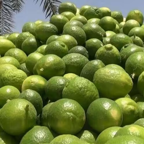 آبلیمو دستی طبیعی صاف  شده بدون پوست - یک و نیم لیتری