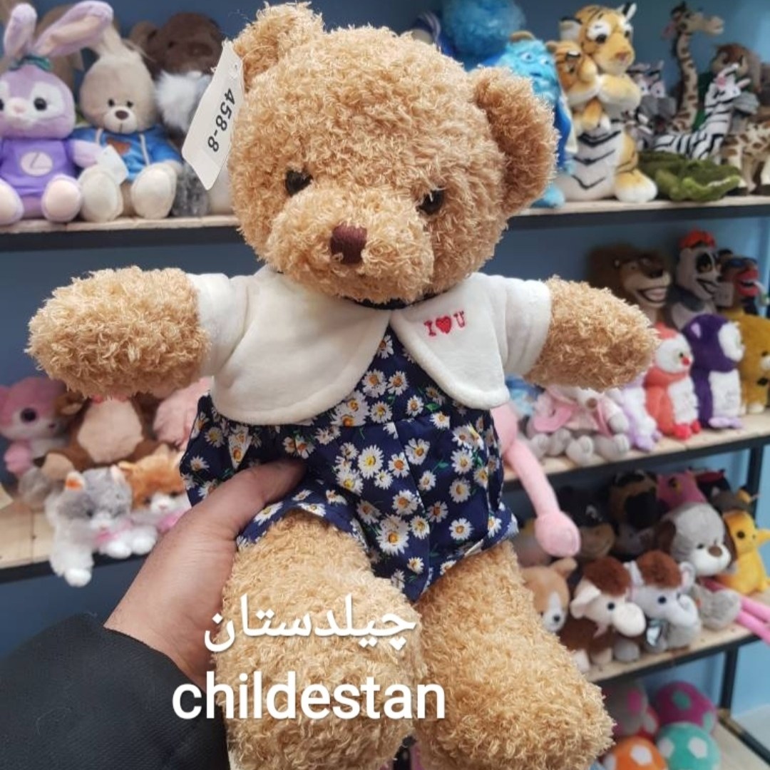 عروسک پولیشی خرس لباس دار طرح 1