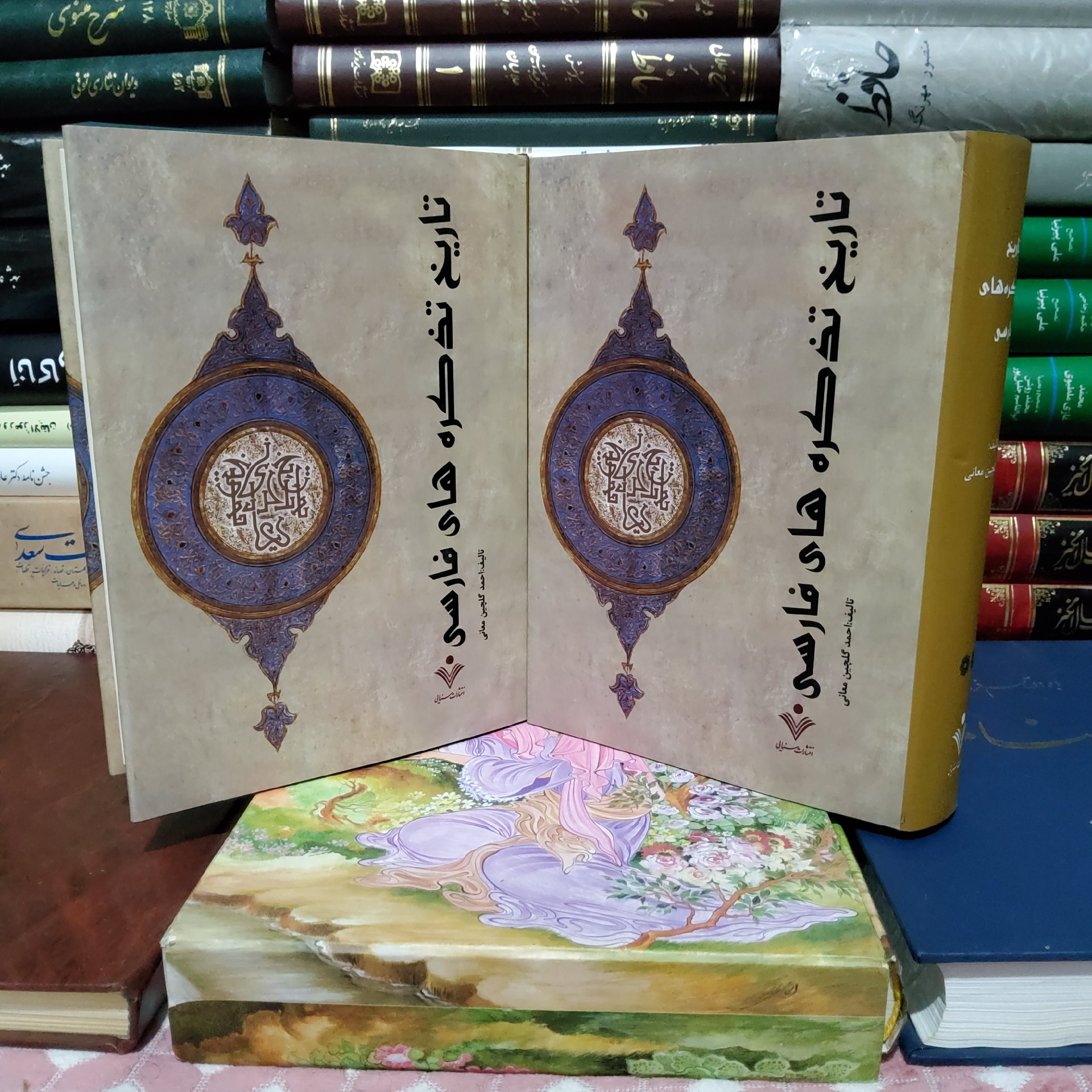 تاریخ تذکره های فارسی ( دو جلدی)