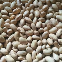 سویا آجیلی در طعم های شور،لیمویی و...