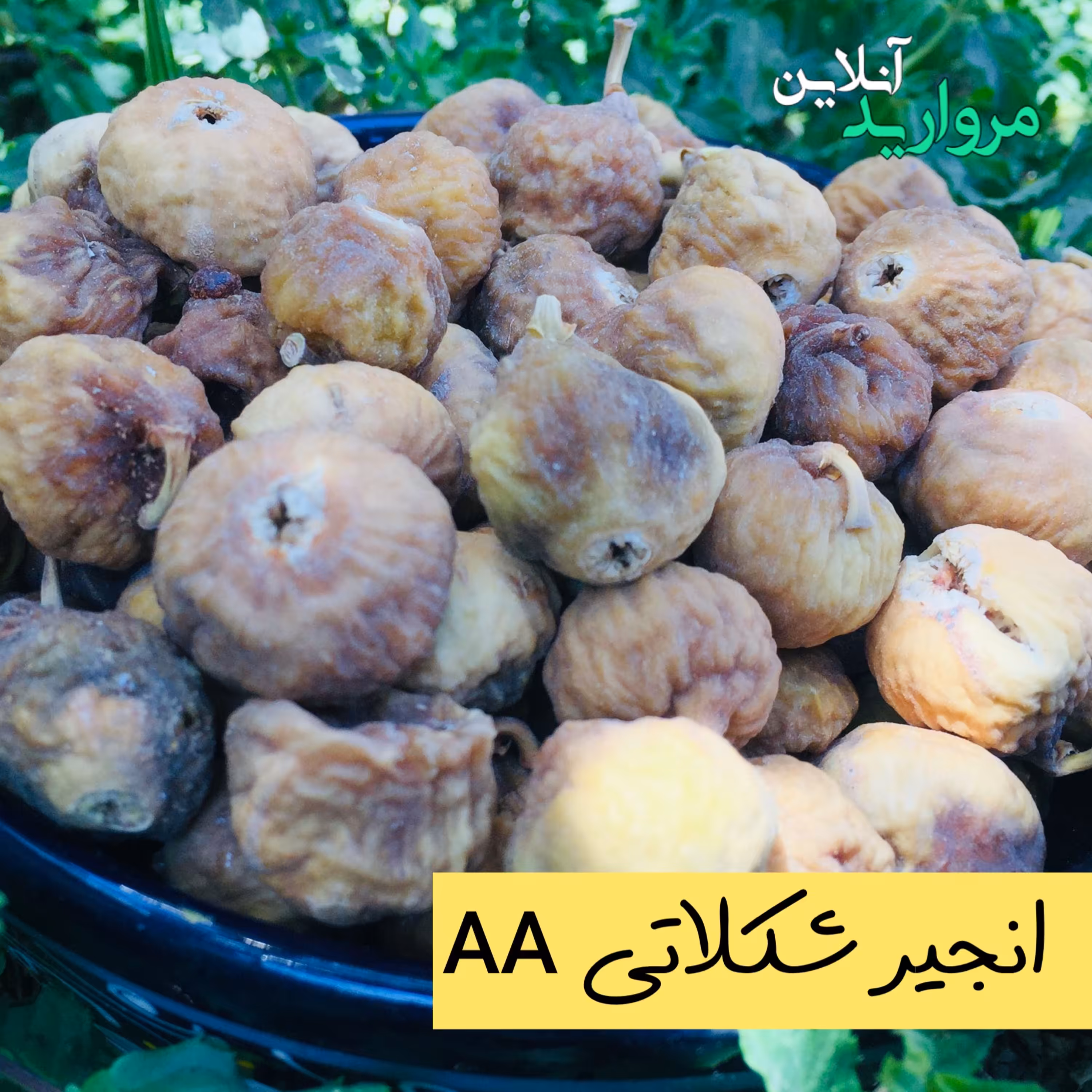 انجیرخشک شکلاتی  سایز AA (متوسط)   کارتن بیست کیلویی
