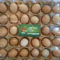 تخم مرغ محلی گلپایگانی(30)عدد