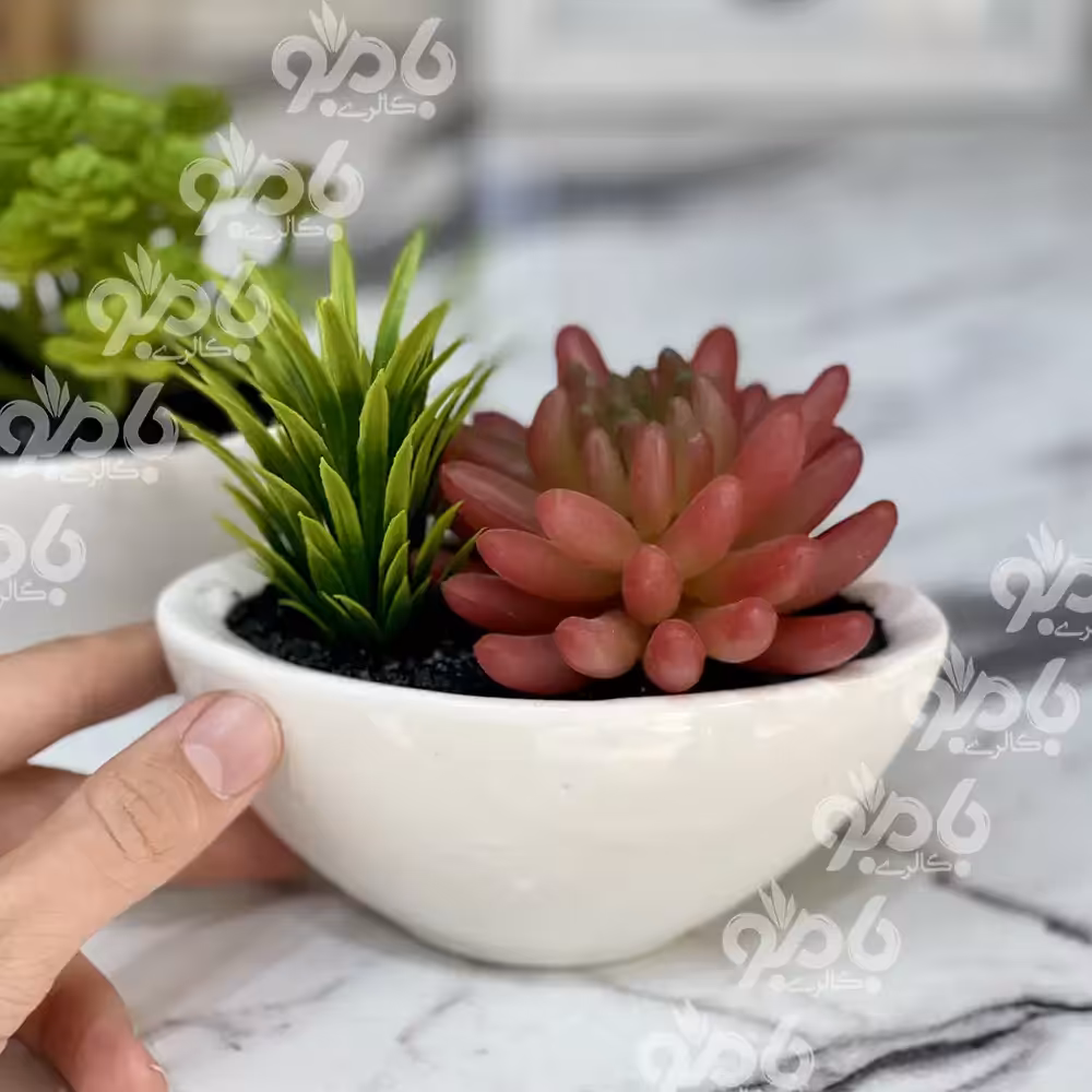 گل و گلدان کاکتوس رومیزی قایقی 9002