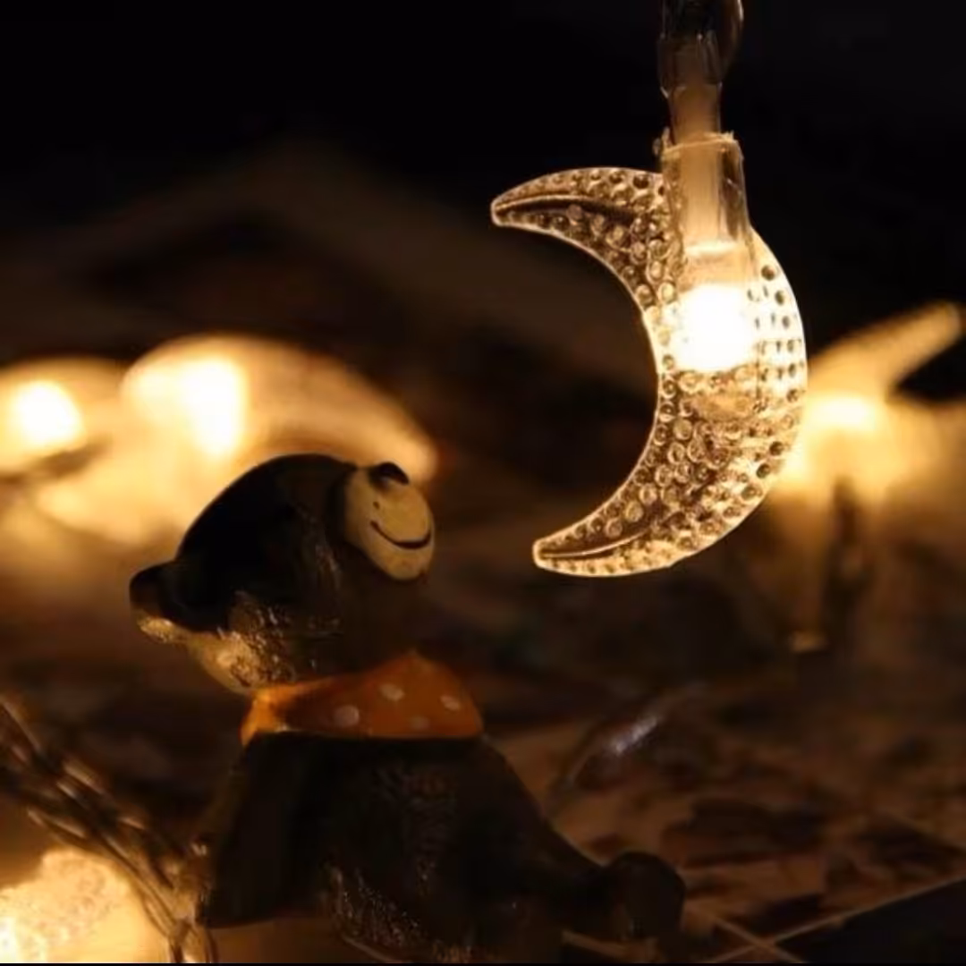 ریسه طرح دار (طرح ماه) 3.5 متری 