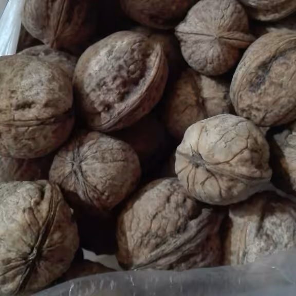 گردو فسنجونی ده کیلویی