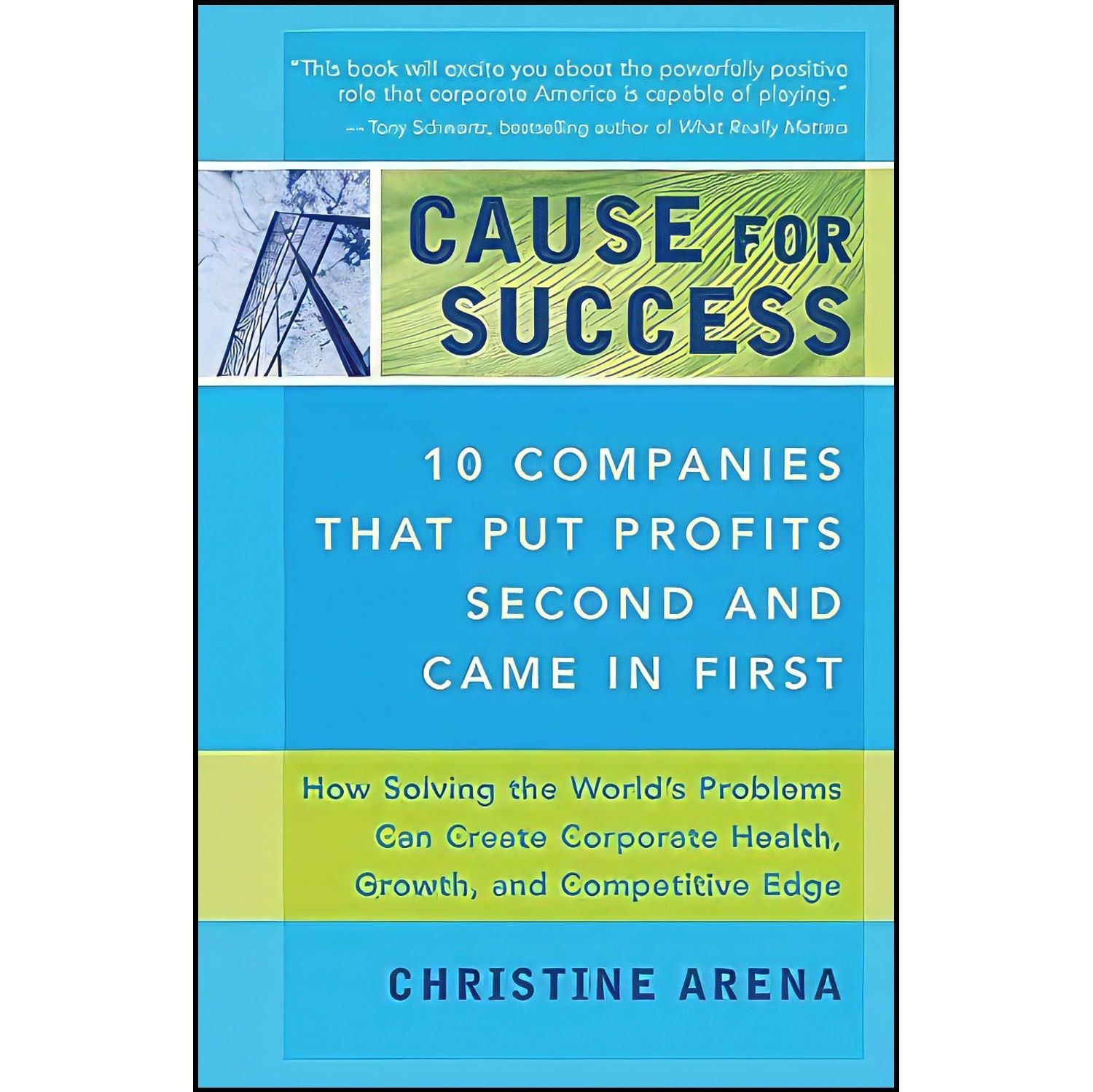کتاب زبان اصلی Cause for Success اثر Christine Arena