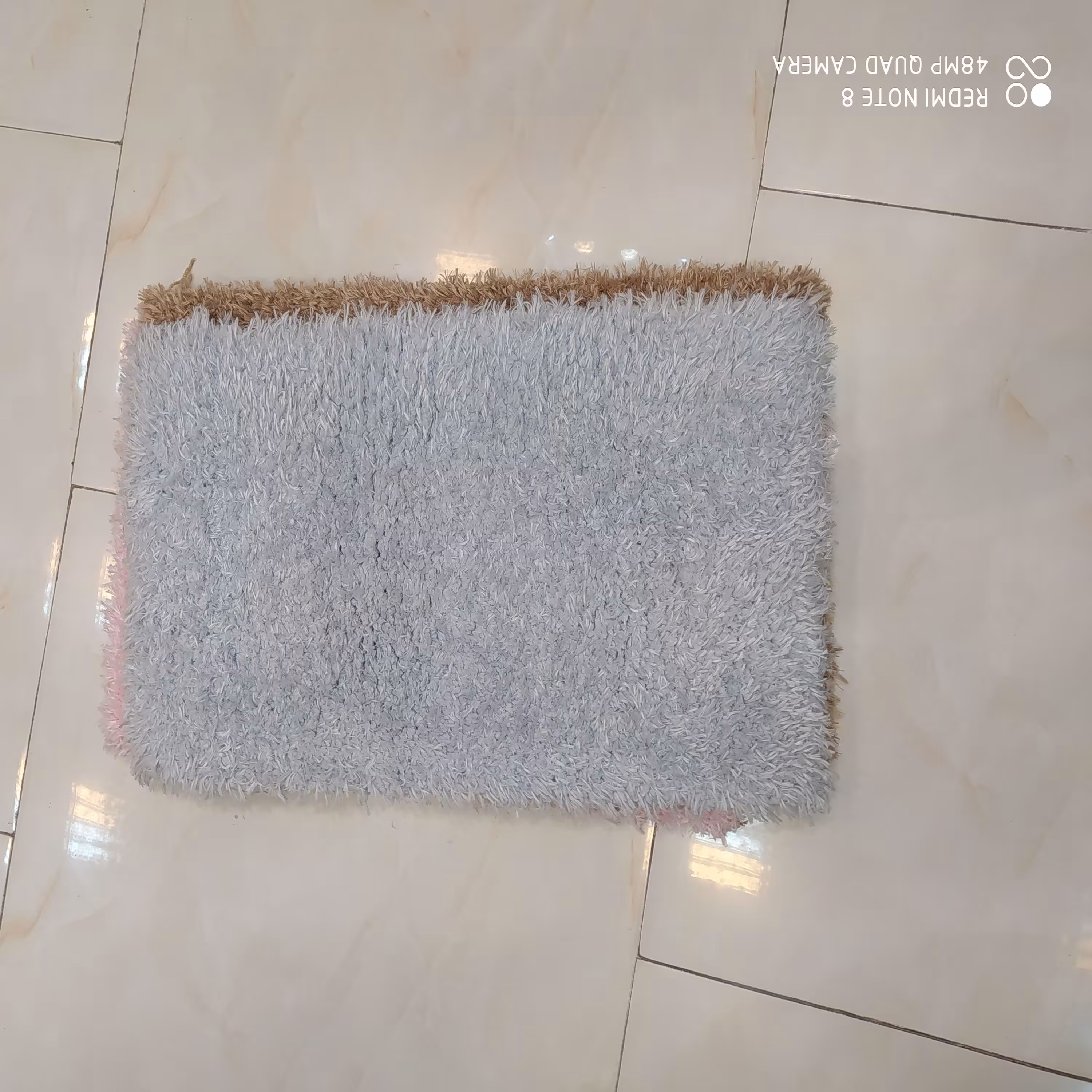 شگی پرز بلندیک و نیم