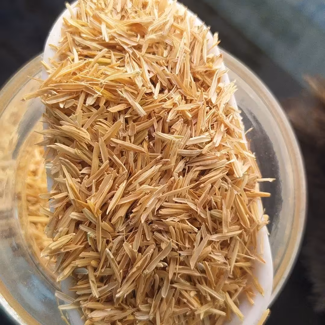 شلتوک برنج سبوس برنج درشت اعلا یک کیلو 