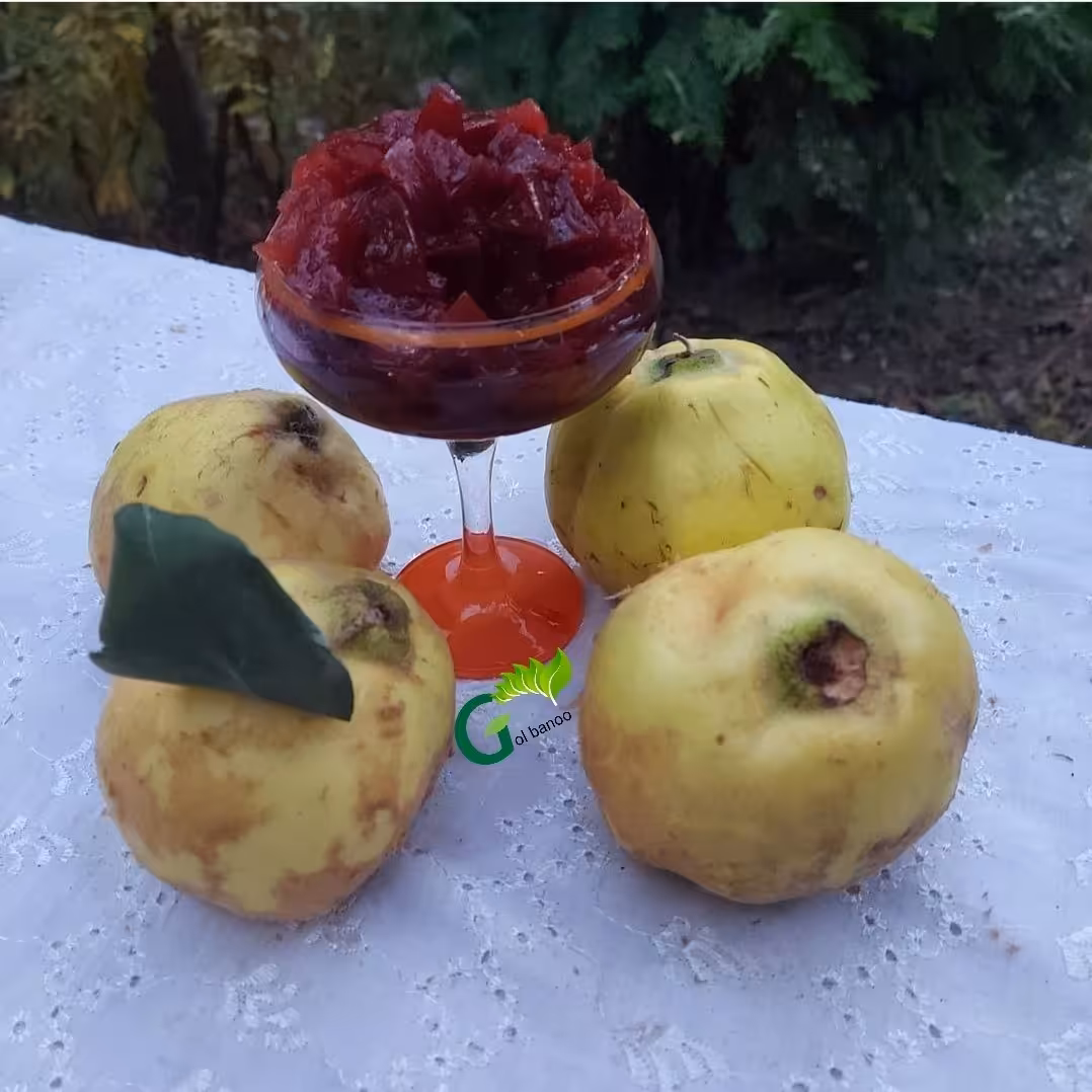 مربا به خانگی گل بانو( یک کیلویی)